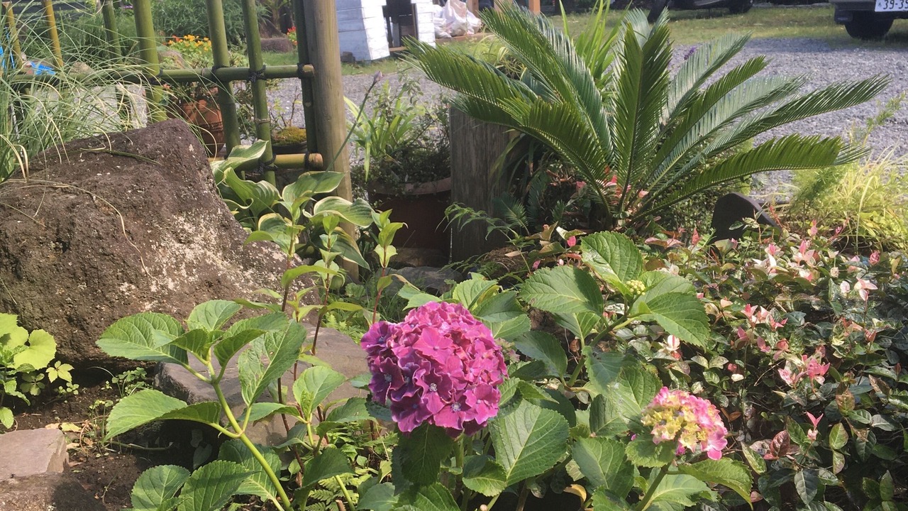 Photo of Outdoor in Kamakura