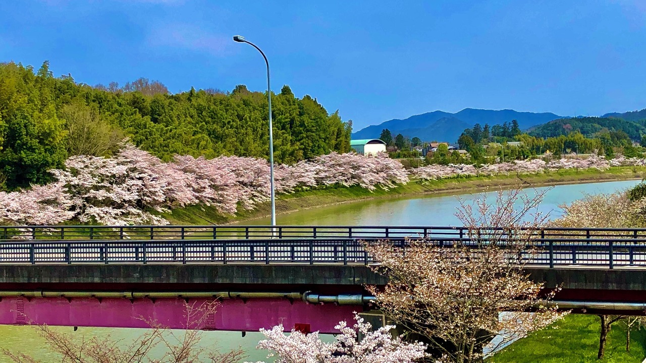 Photo of Others in Sasayama