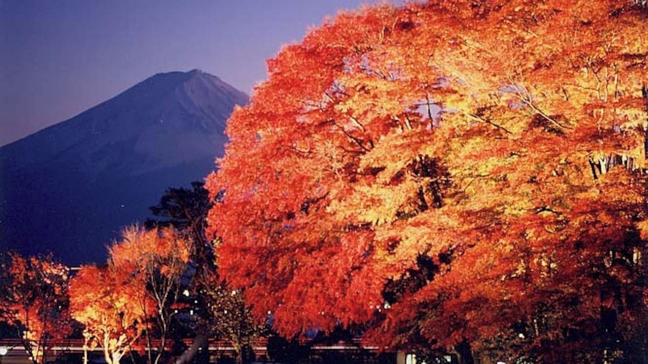 Photo of Others in Fujikawaguchiko