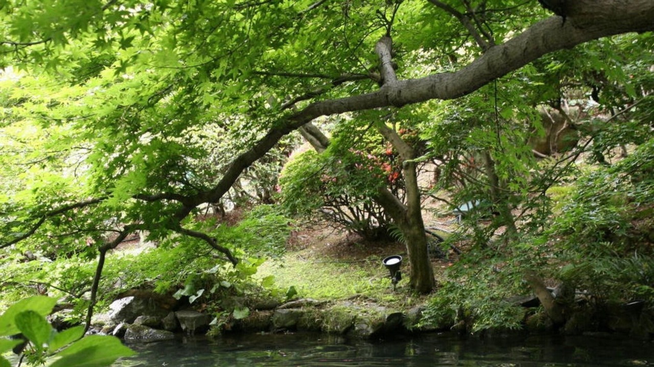Photo of Others in Kurume