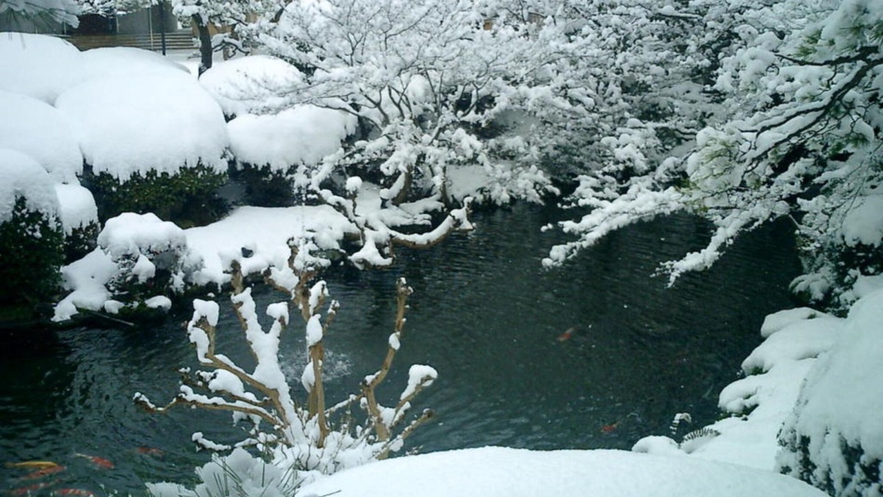 Photo of Outdoor in Kurume