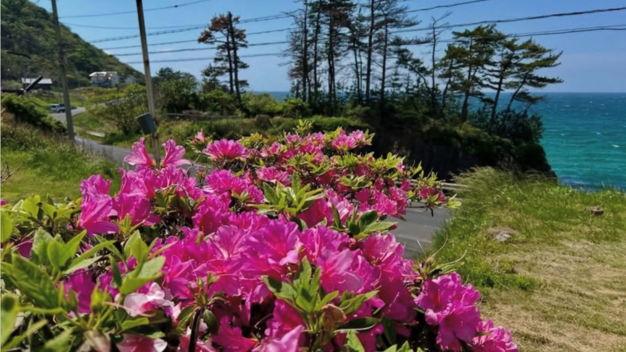 Photo of Outdoor in Kyotango