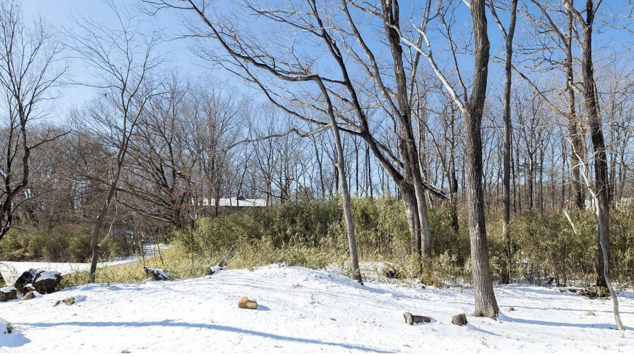 Photo of Outdoor in Nasu