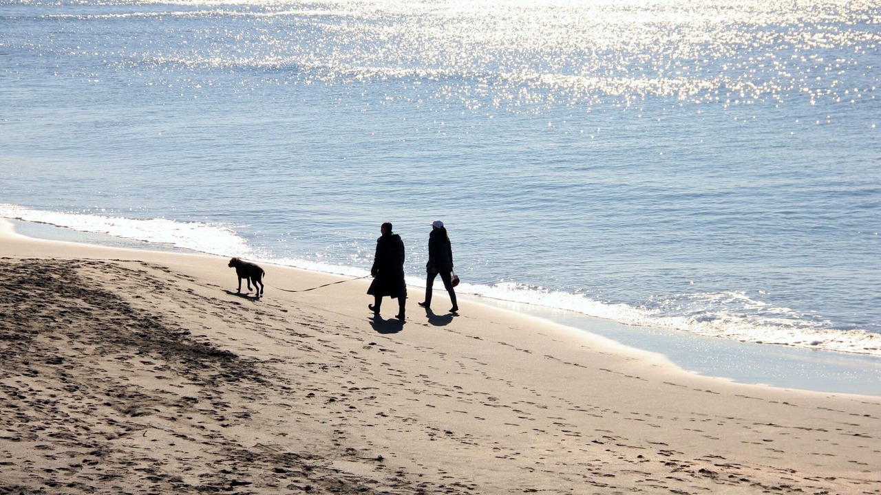 Photo of Others in Minamiboso