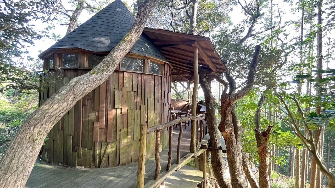 Photo of Outdoor in Otaki