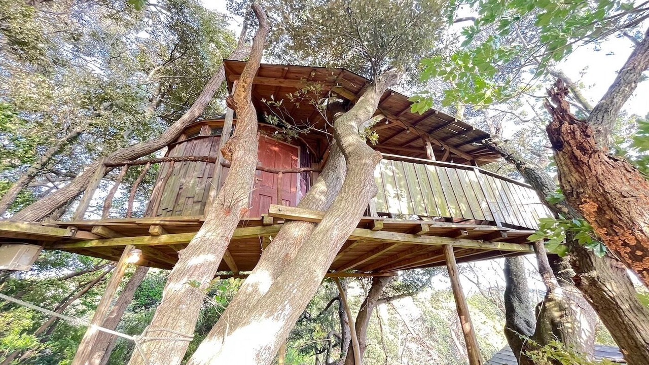 Photo of Outdoor in Otaki