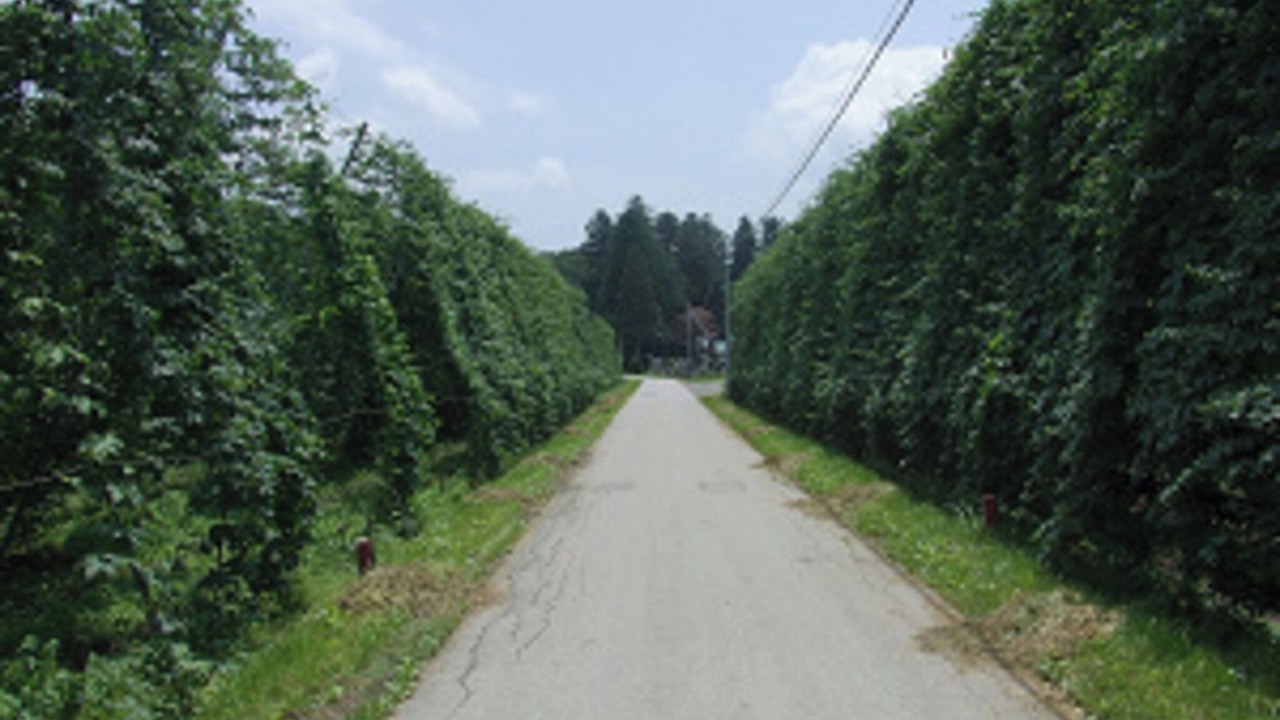 Photo of Outdoor in Tono
