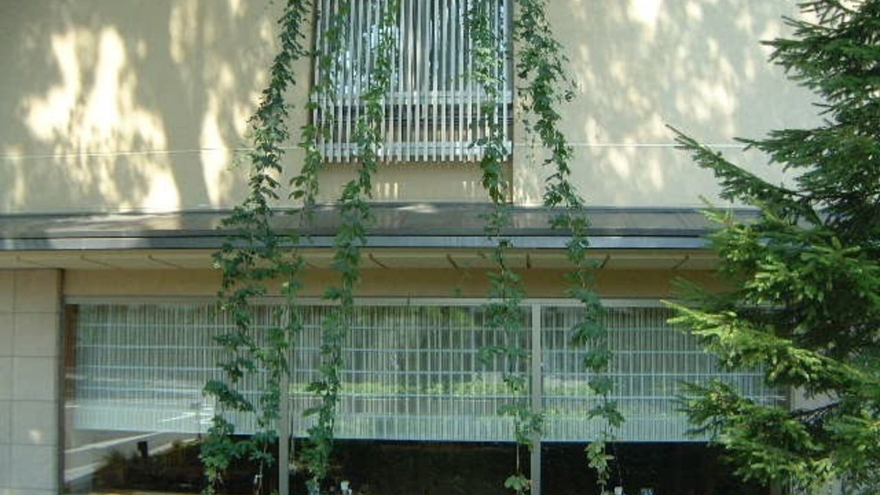 Photo of Outdoor in Tono