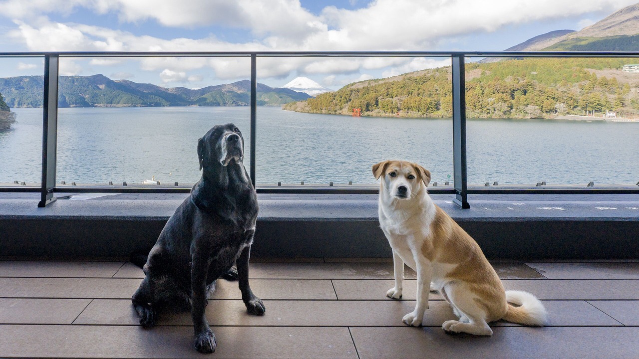 Photo of Patio Balcony in Hakone