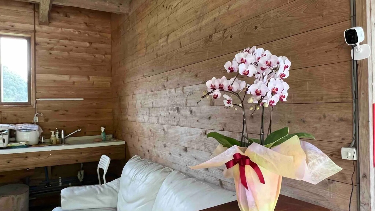 Photo of Livingroom in Minamiboso