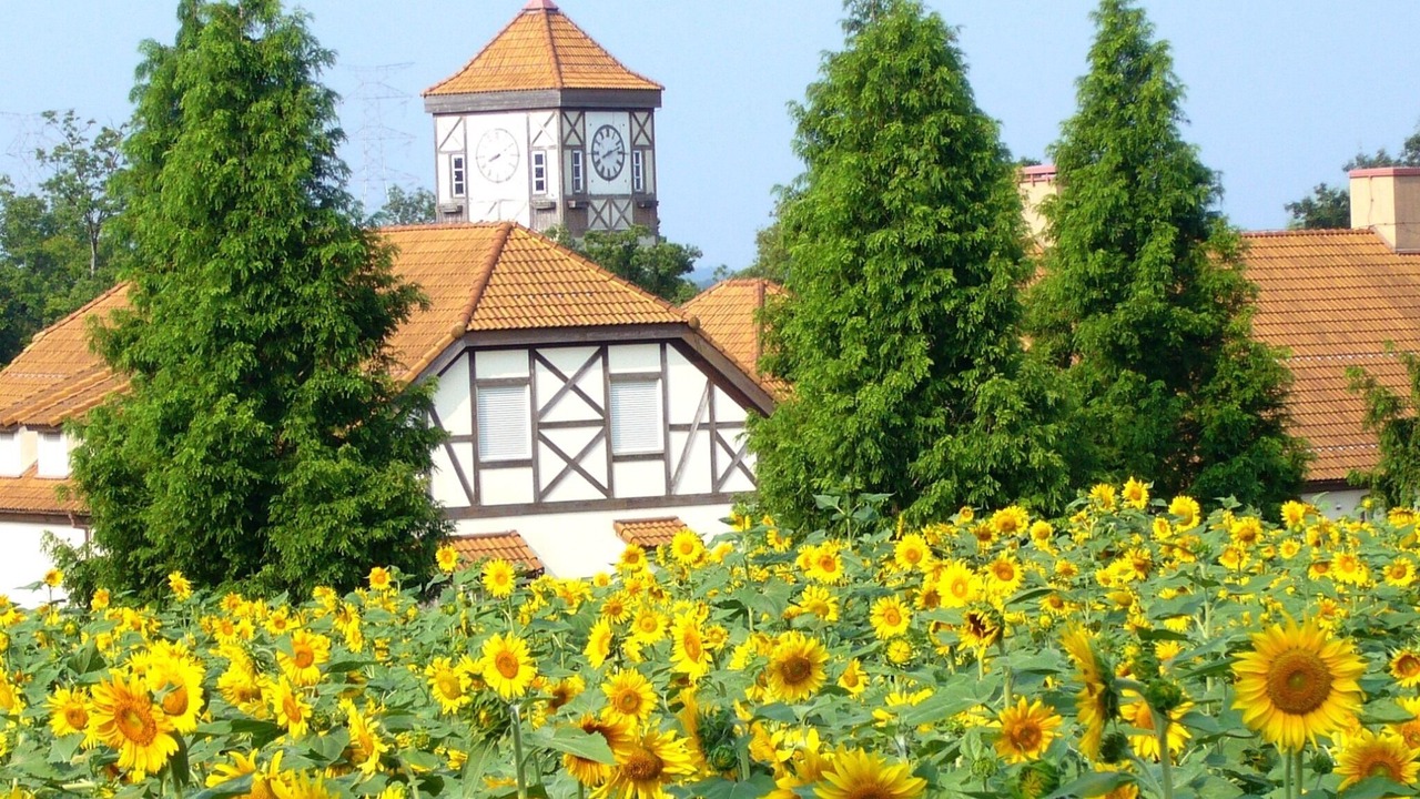 Photo of Outdoor in Hino-cho