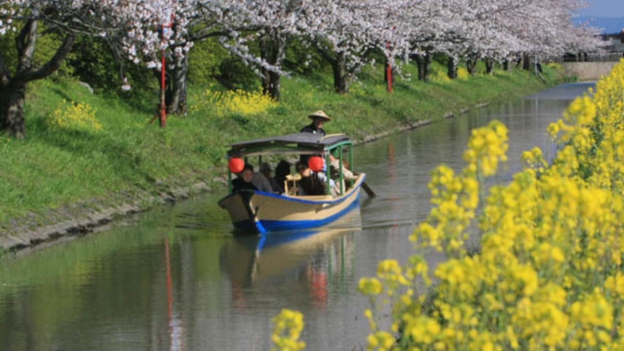 Photo of Outdoor in Omihachiman