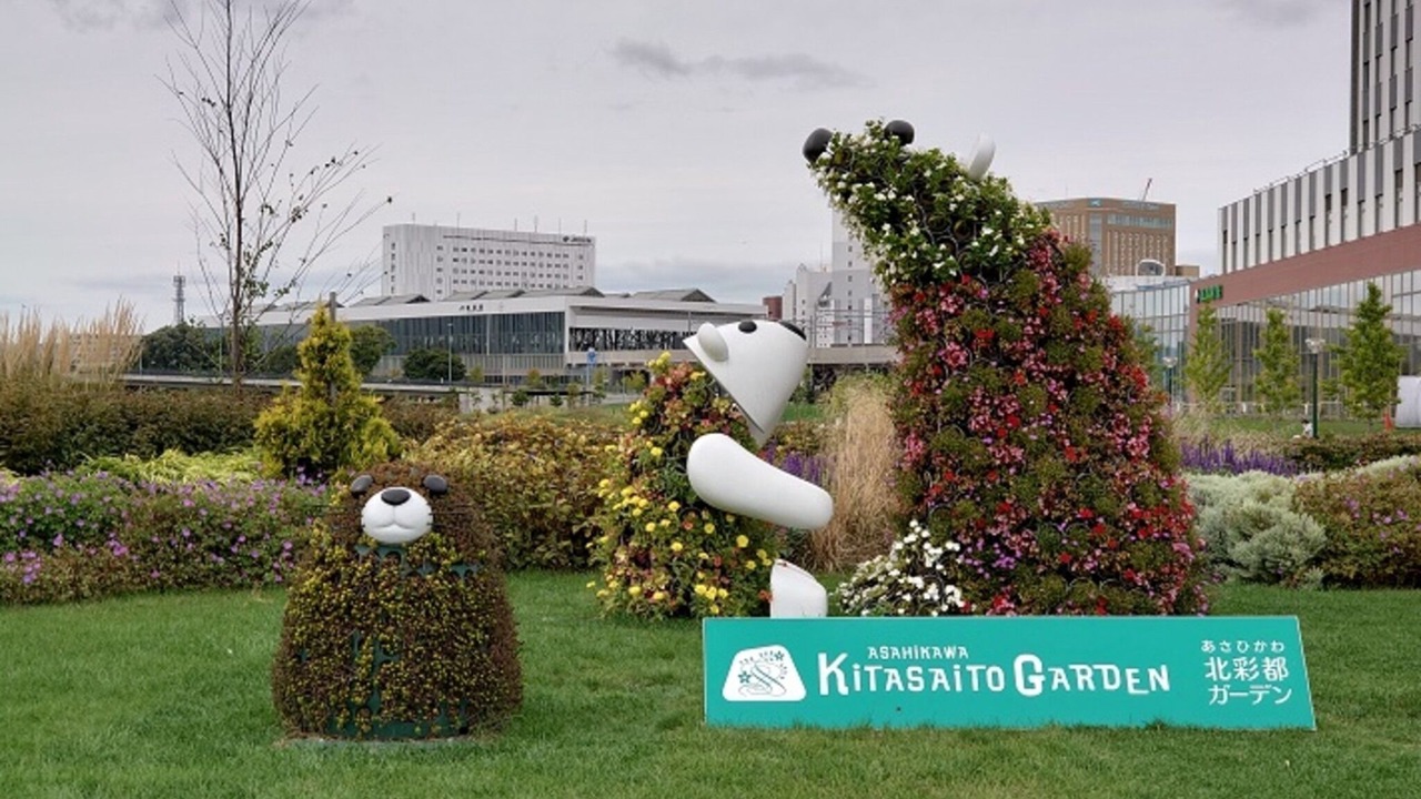 Photo of Others in Asahikawa