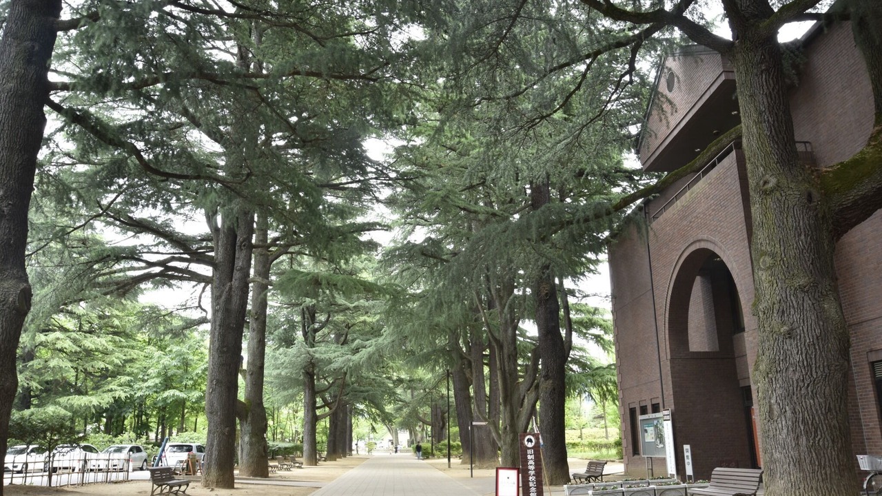 Photo of Outdoor in Matsumoto