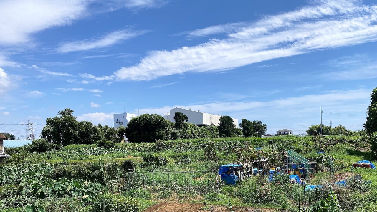 Photo of Others in Fujisawa
