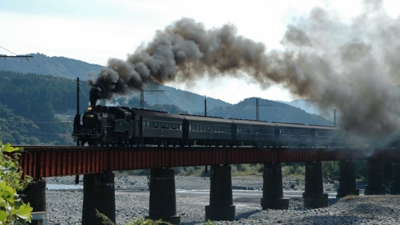 Photo of Others in Shimada