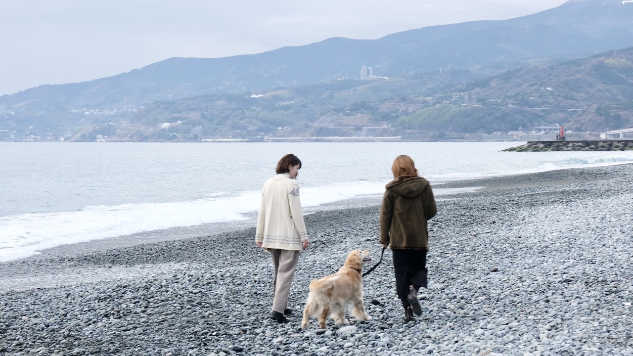 Photo of Others in Odawara
