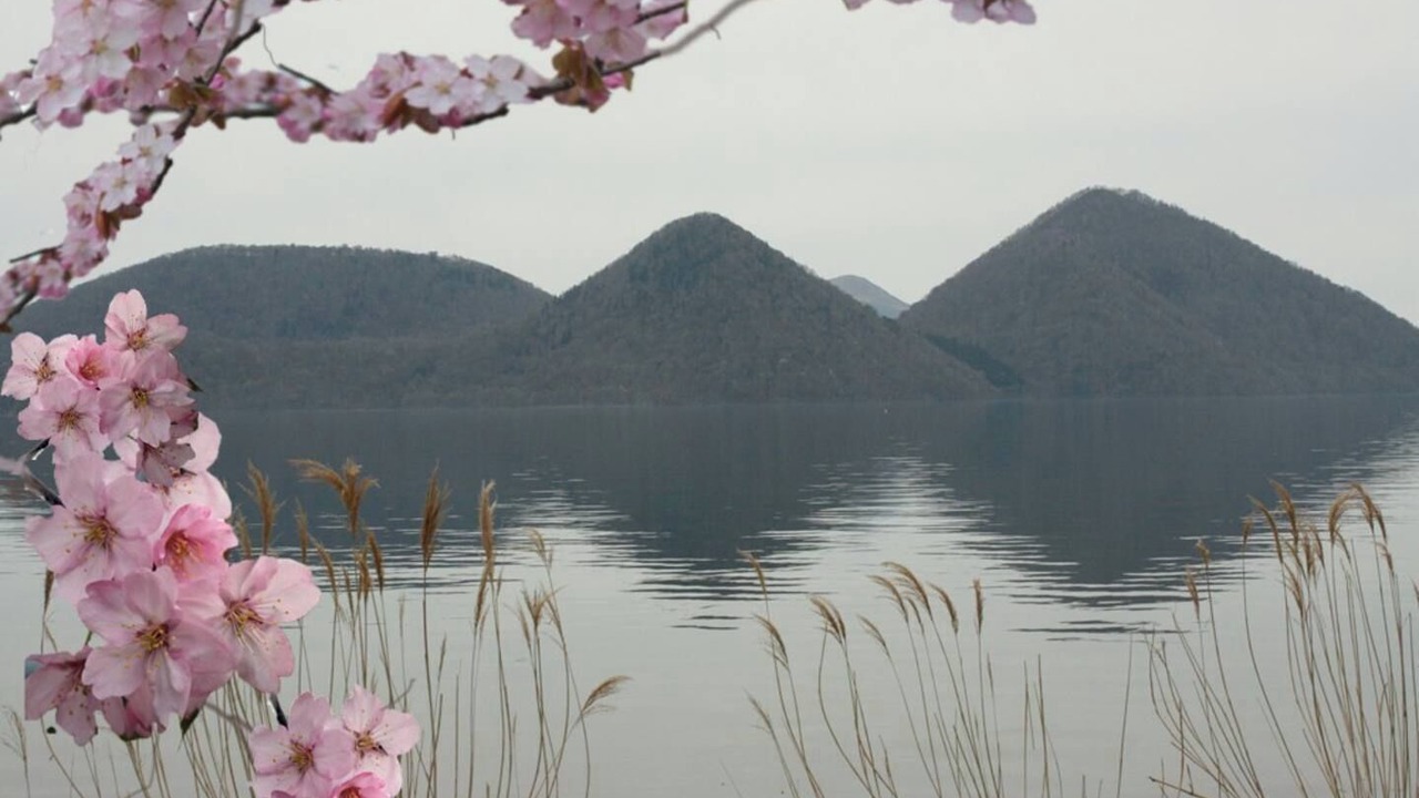 Photo of Others in Toyako
