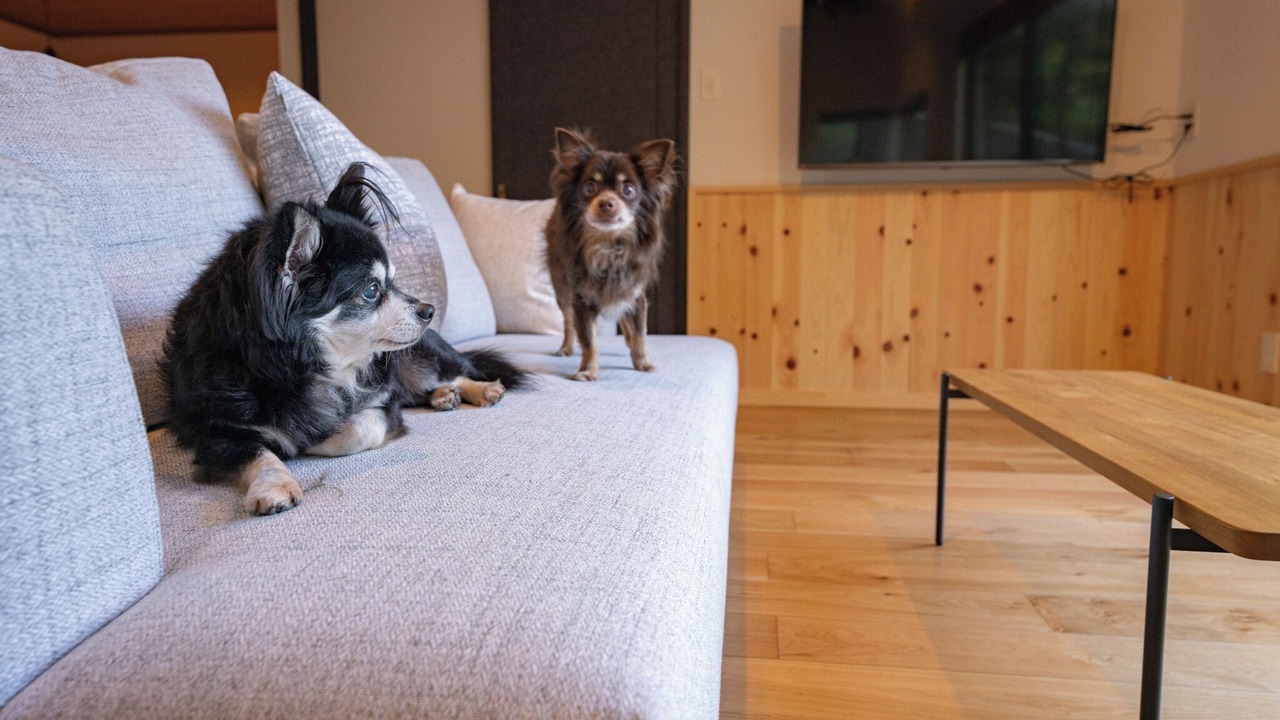 Photo of Livingroom in Atami