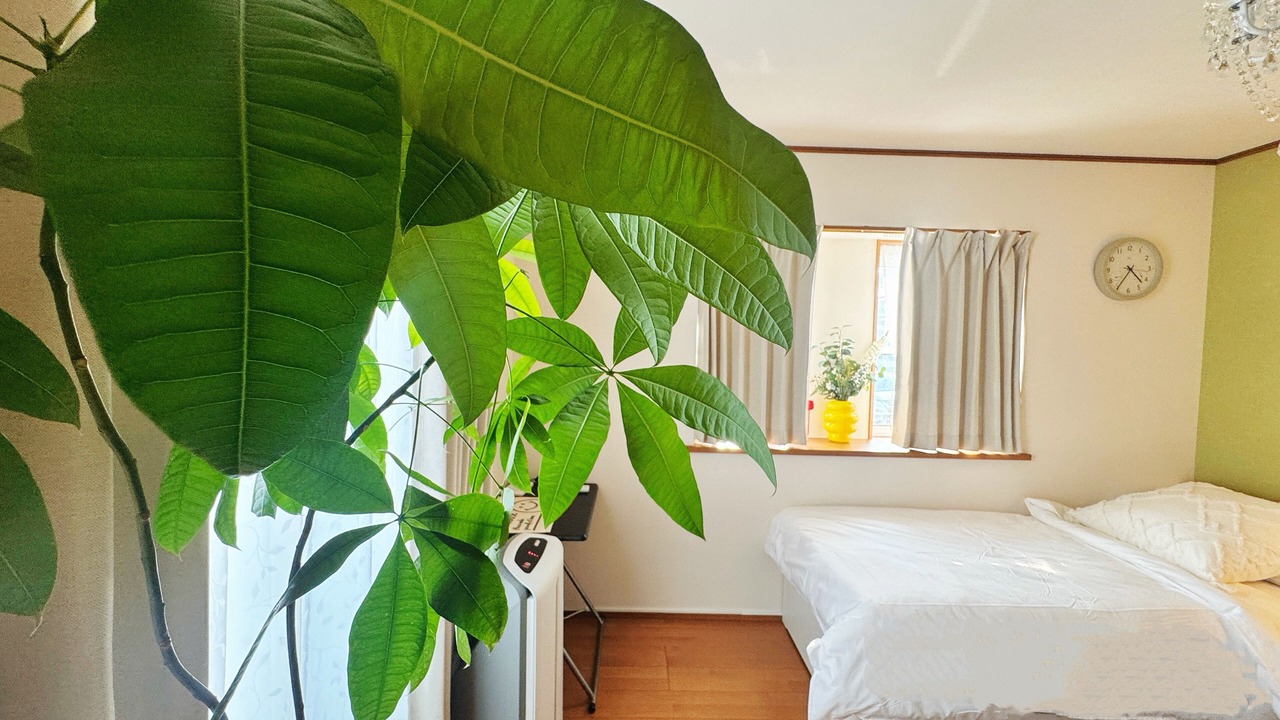 Photo of Bedroom in Machida