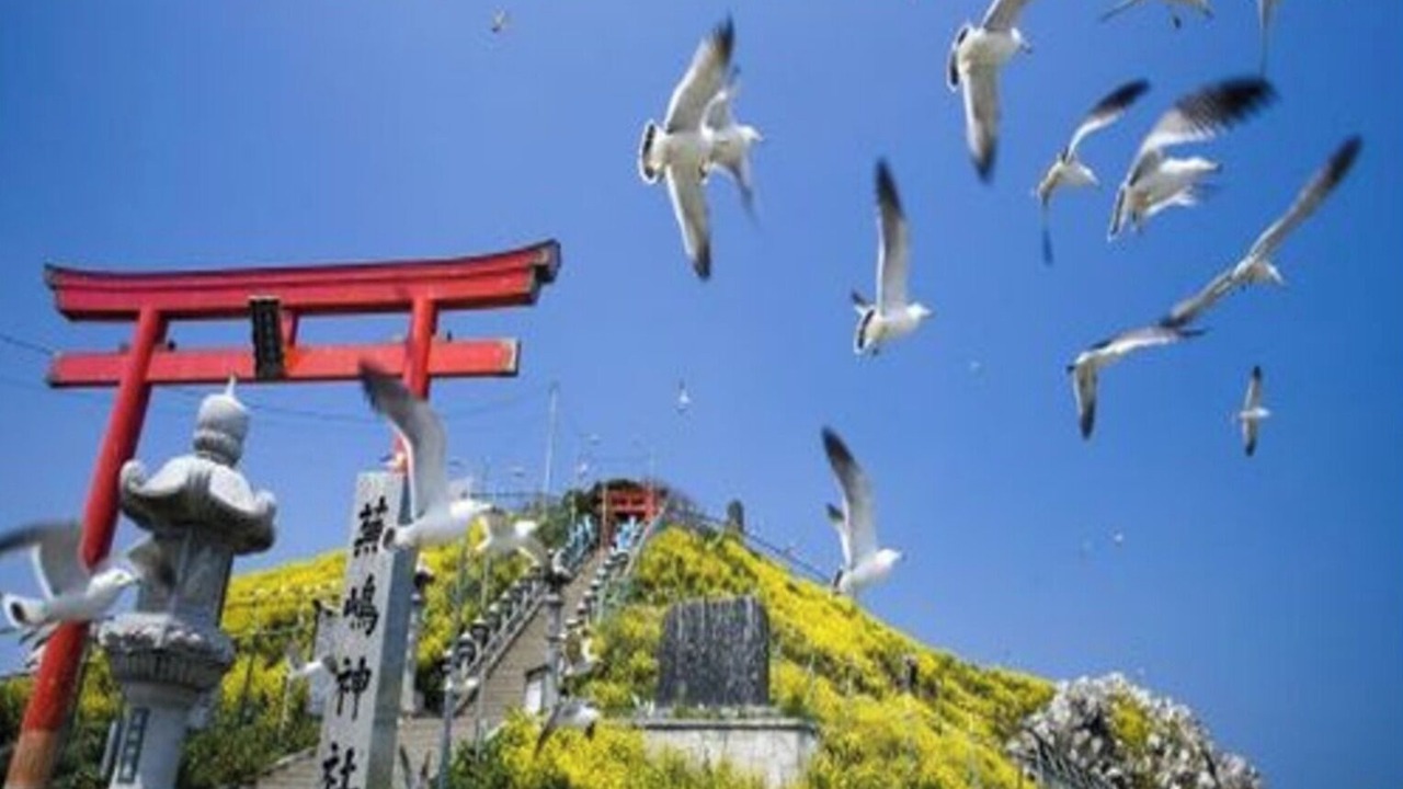 Photo of Others in Hachinohe