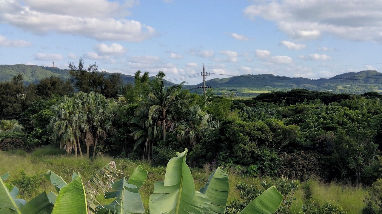 Photo of Outdoor in Nagura