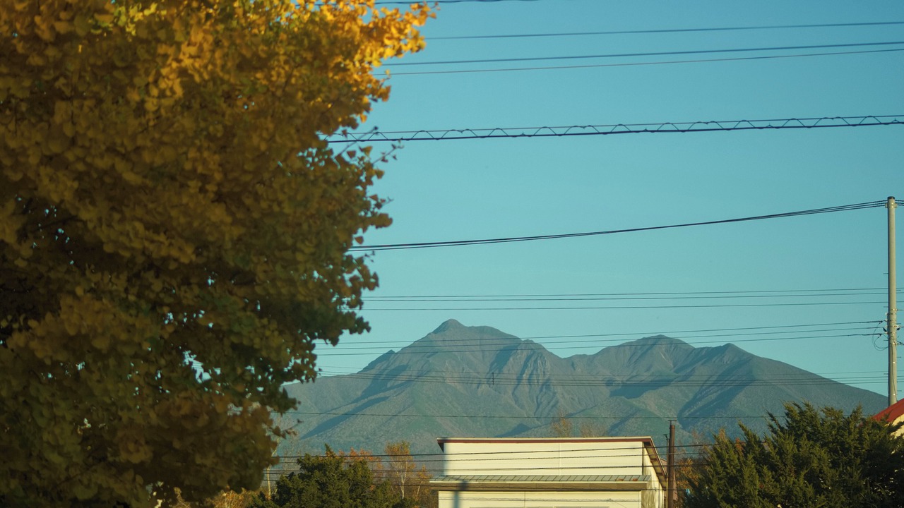 Photo of Others in Sattsuru