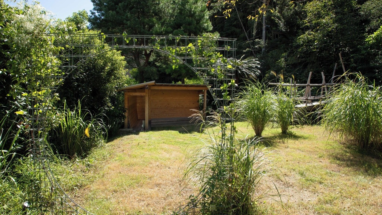 Photo of Outdoor in Miyakami