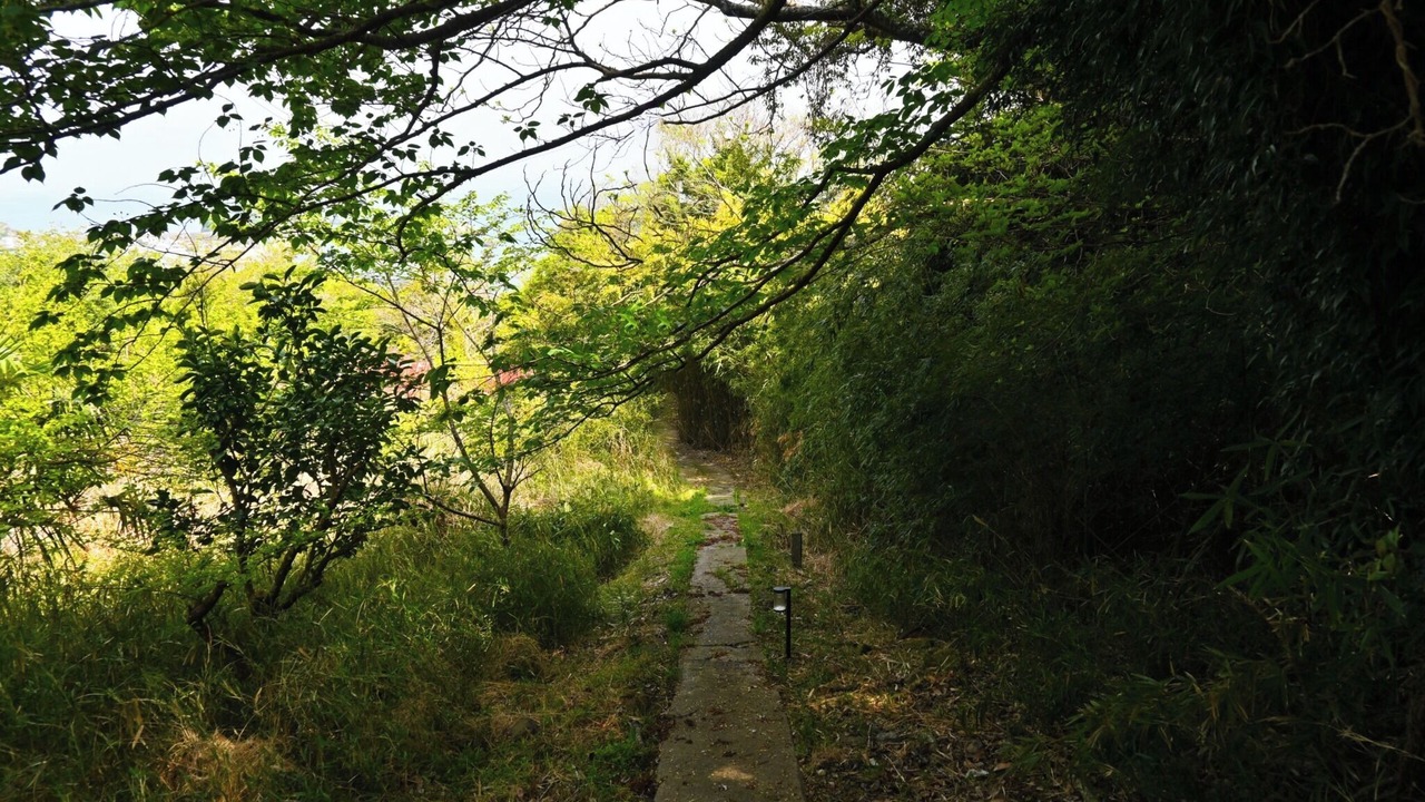 Photo of Others in Kamogawa