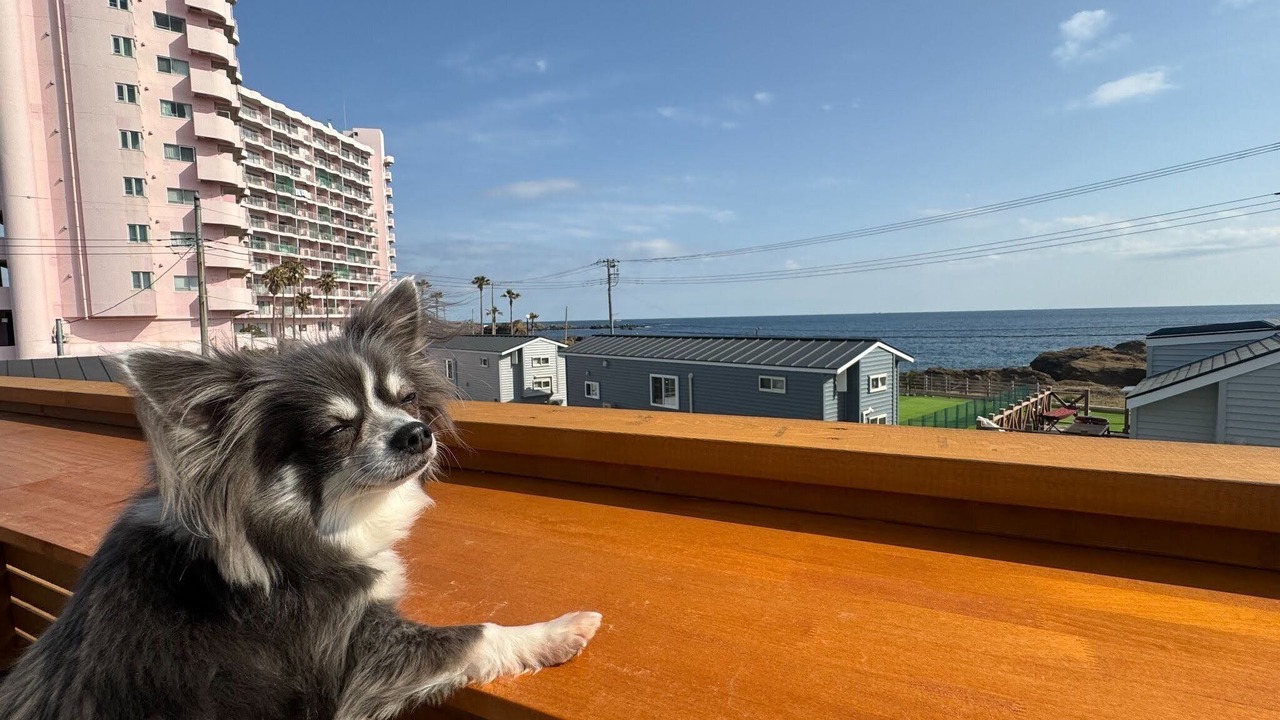 Photo of Outdoor in Minamiboso