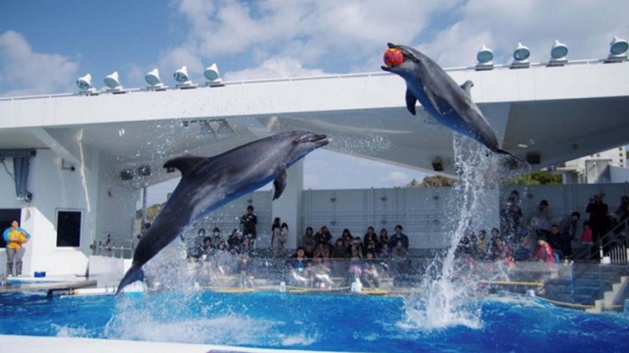 Photo of Outdoor in Sasebo
