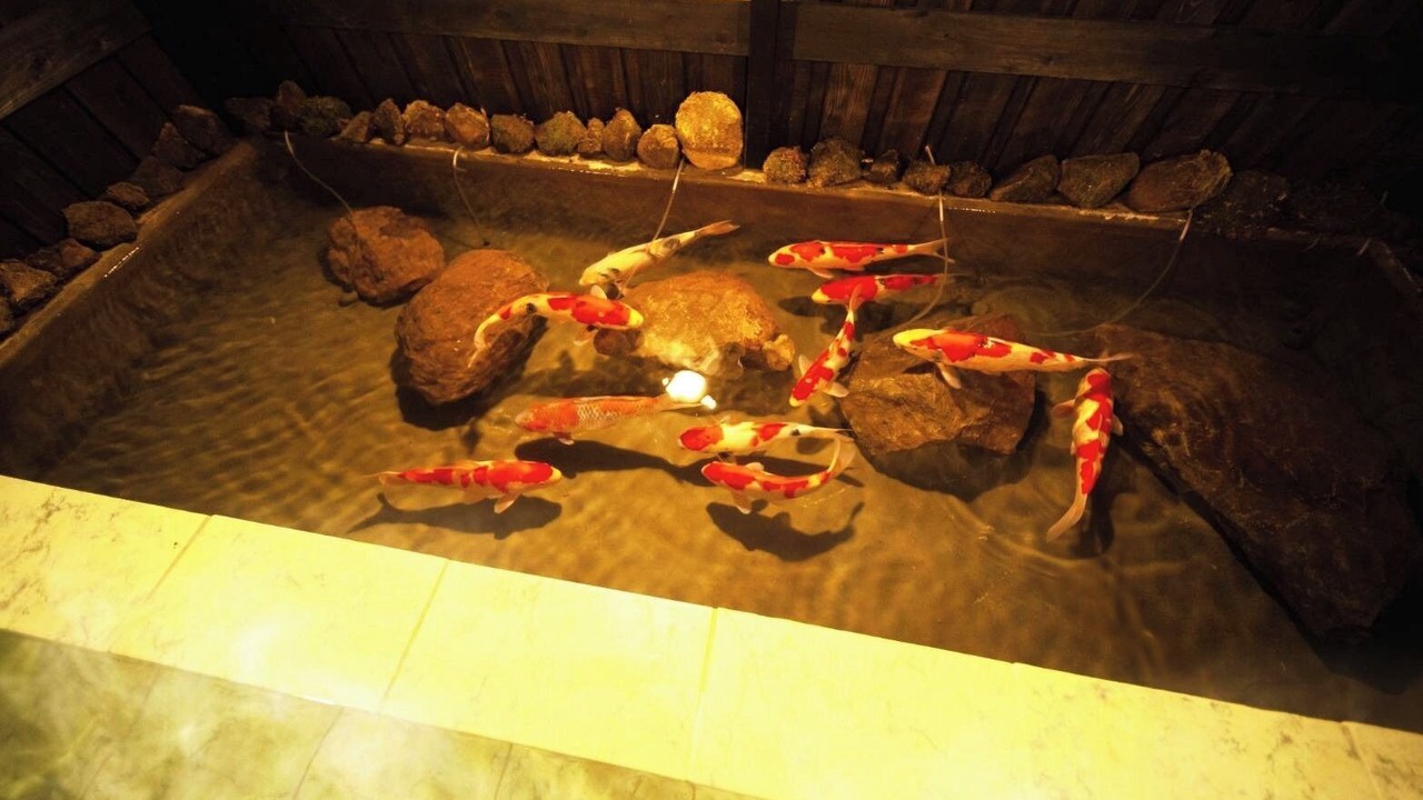 Photo of Others in Yufuin Onsen