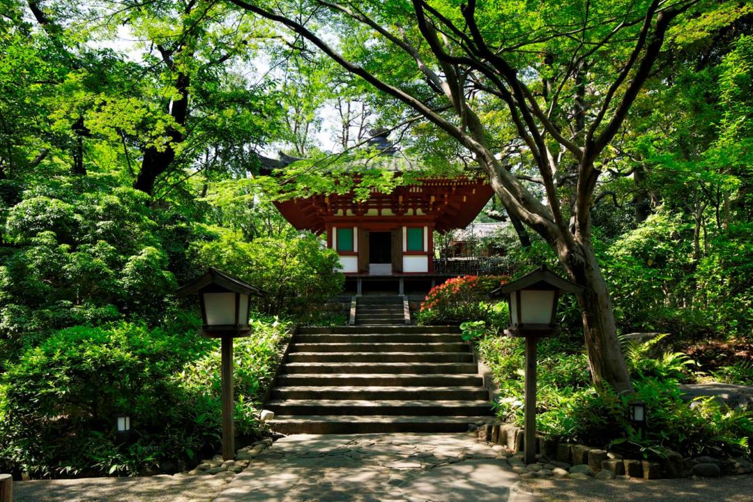 Photo of Others in Takanawa