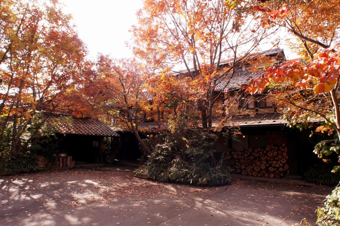 Photo of Others in Kurokawa