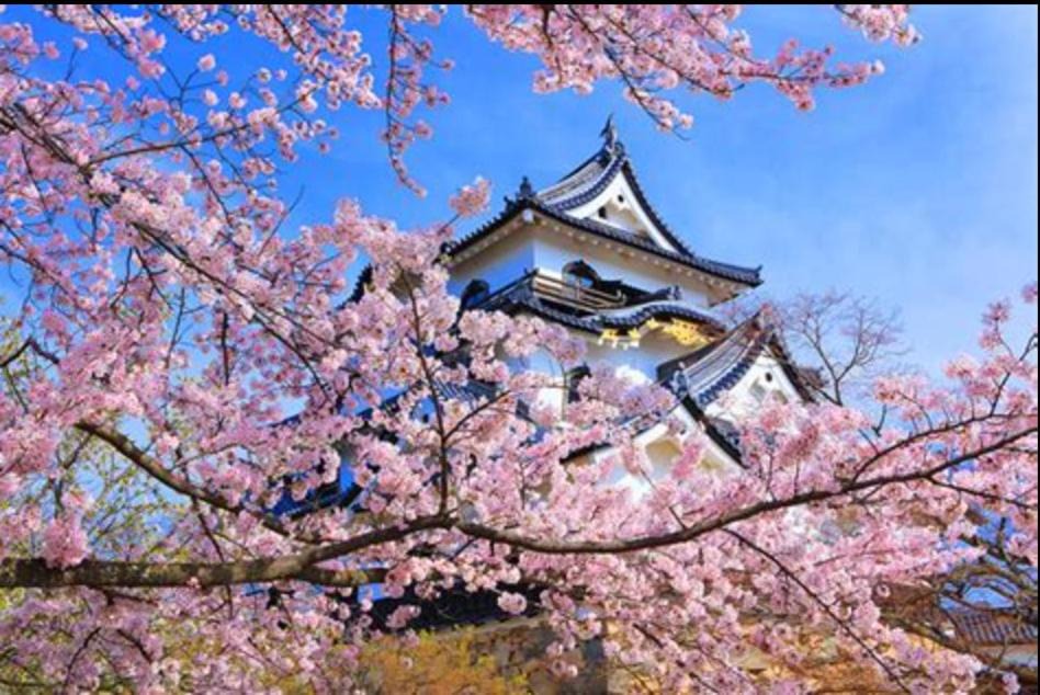 Photo of Others in Hikone