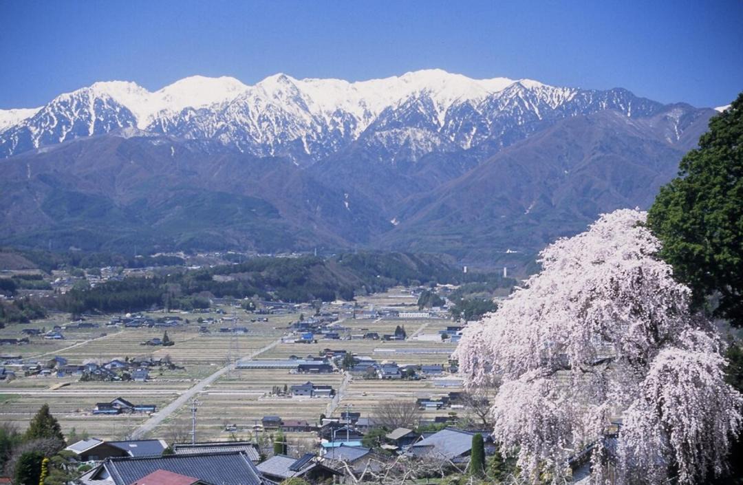 Photo of Others in Komagane