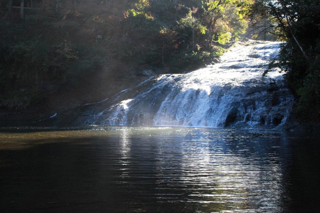 Photo of Others in Otaki