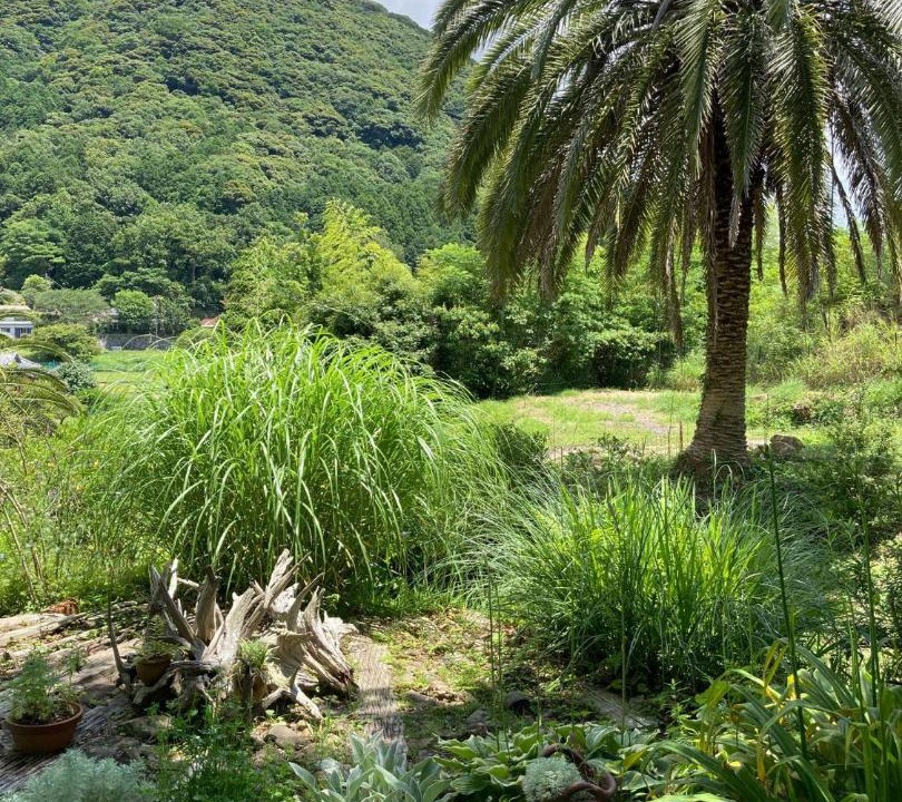 Photo of Others in Minamiizu