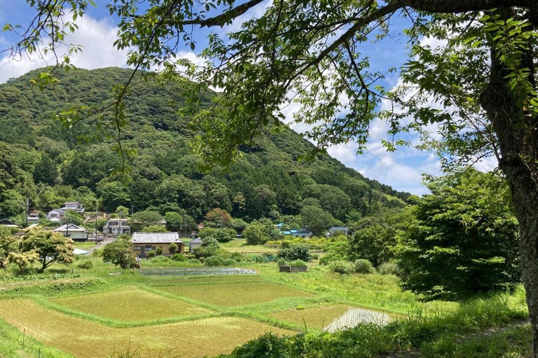 Photo of Others in Minamiizu