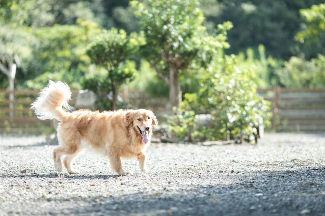 Photo of Others in Shima