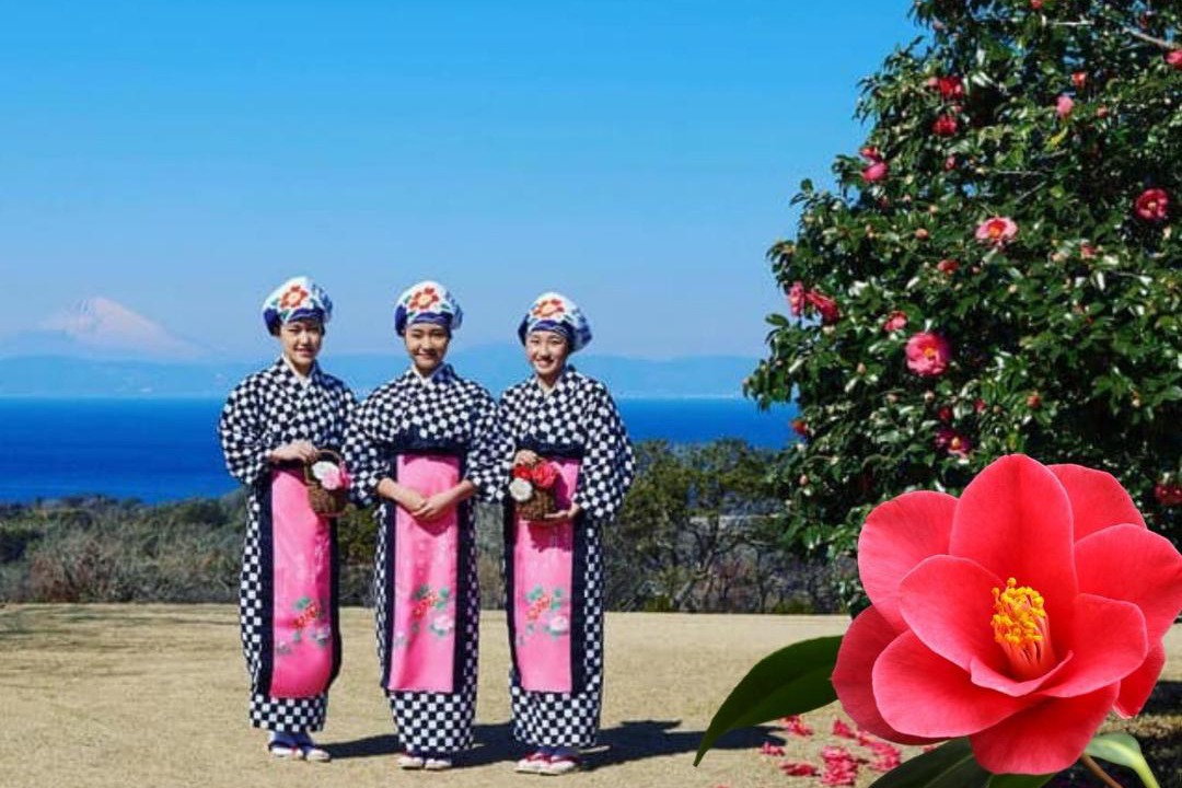 Photo of Others in Oshima