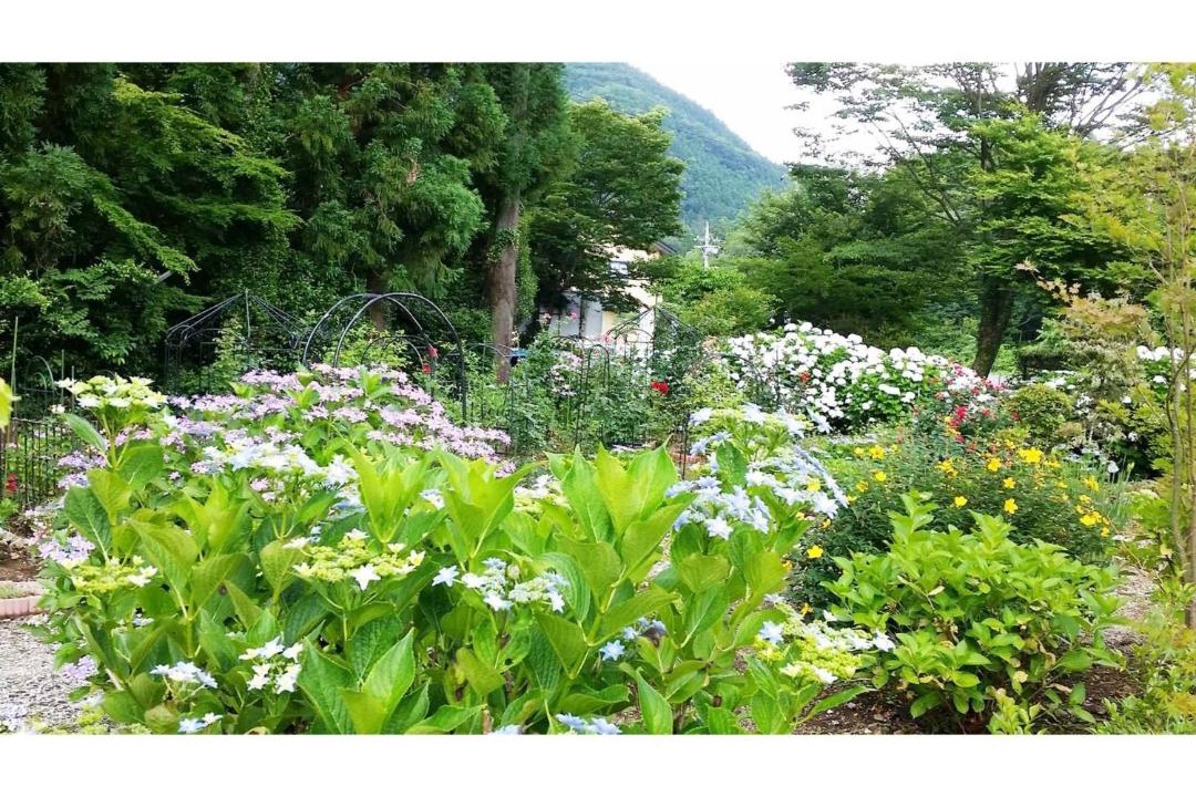 Photo of Others in Nikko