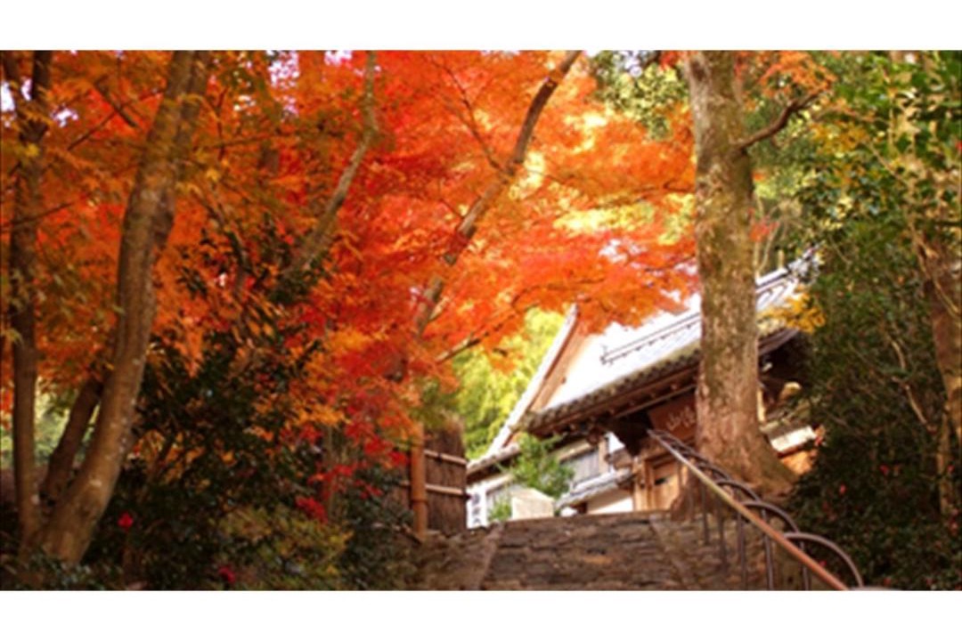 Photo of Others in Arashiyama