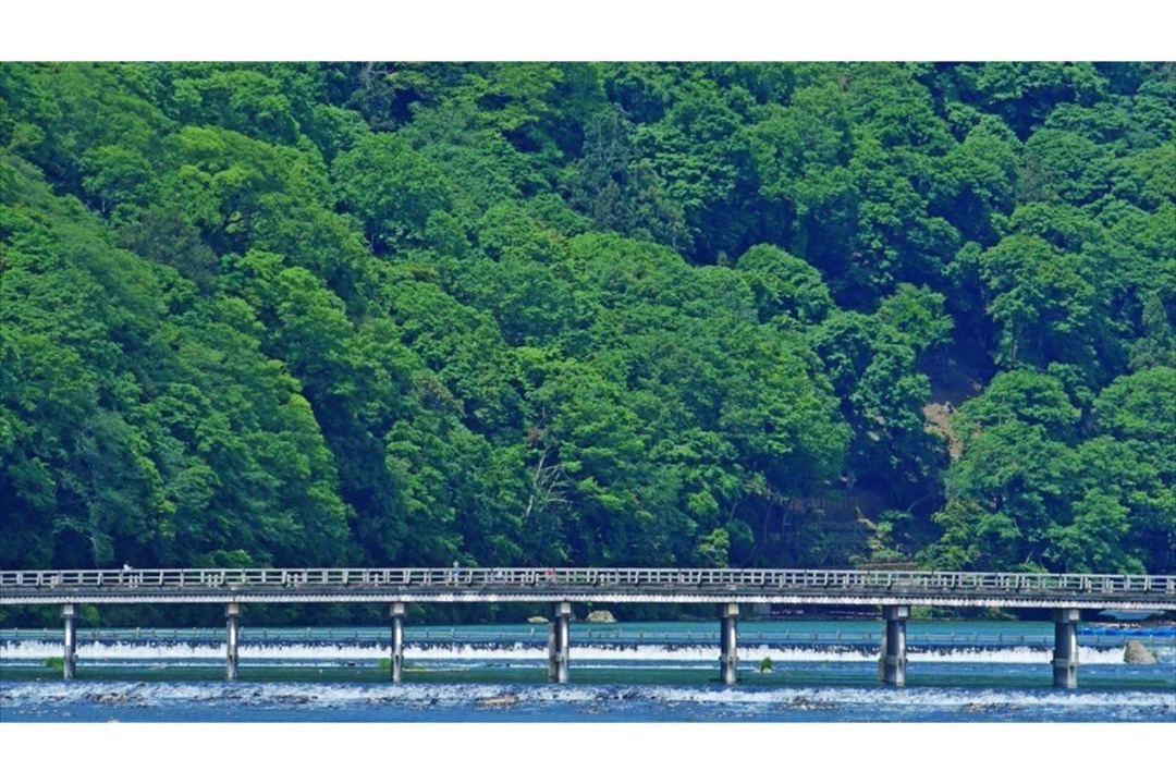 Photo of Others in Arashiyama