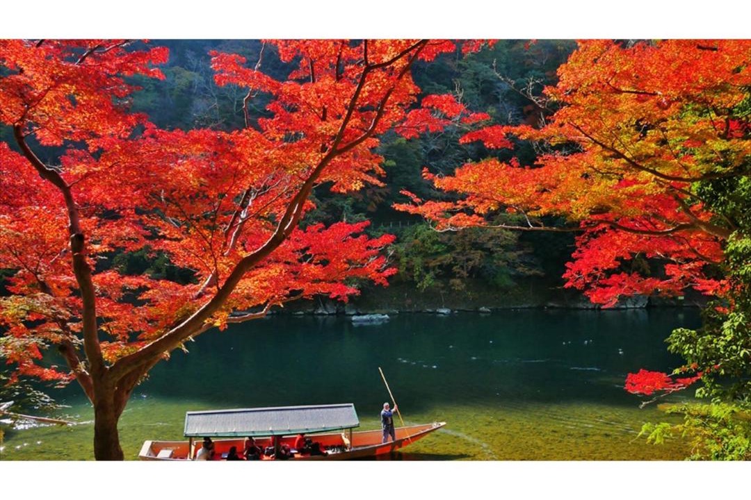 Photo of Others in Arashiyama