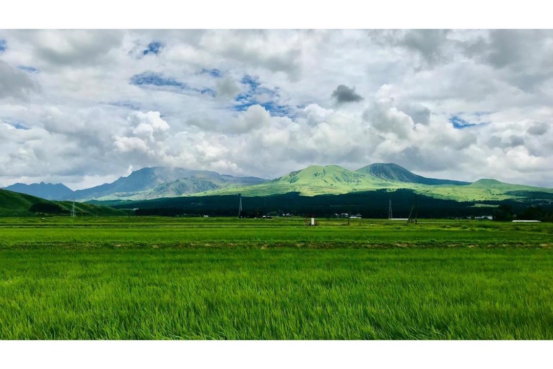 Photo of Others in Aso