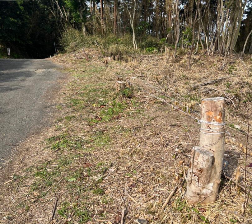 Photo of Others in Tateyama