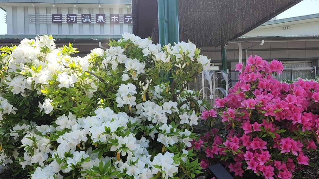 Photo of Others in Nishio
