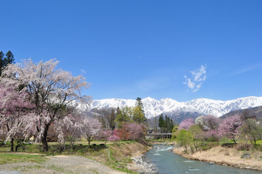 Photo of Others in Hakuba
