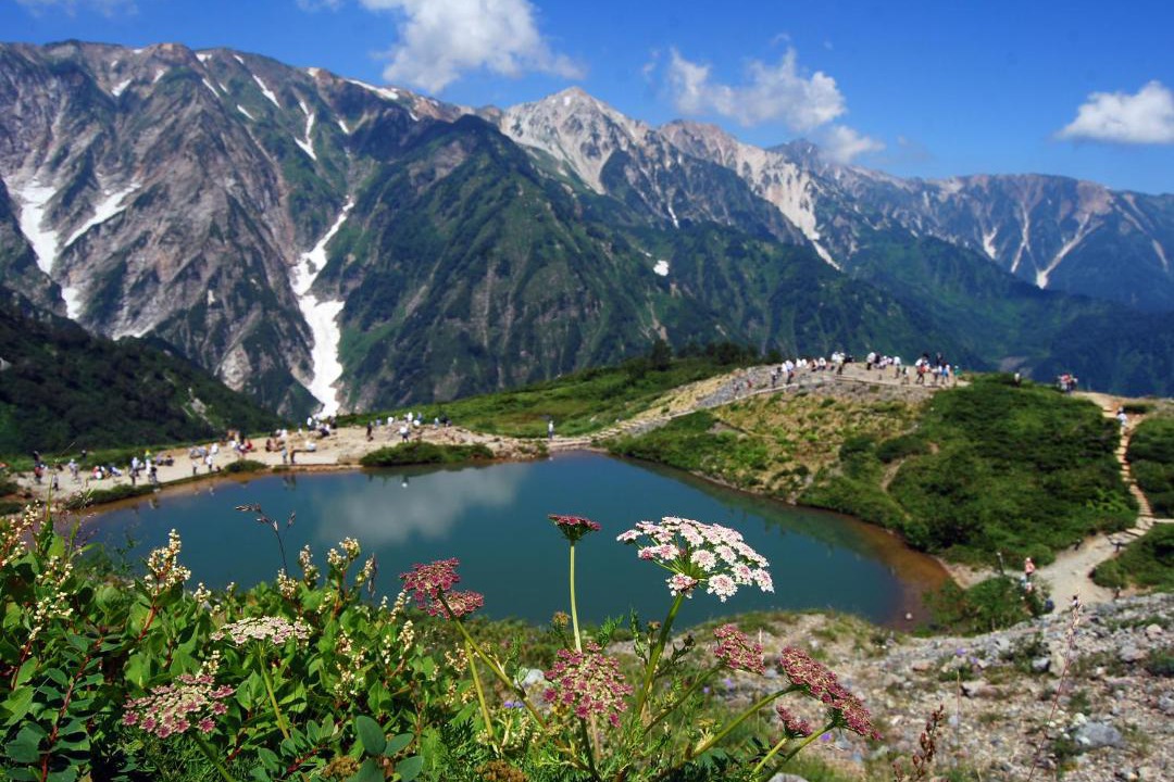 Photo of Others in Hakuba